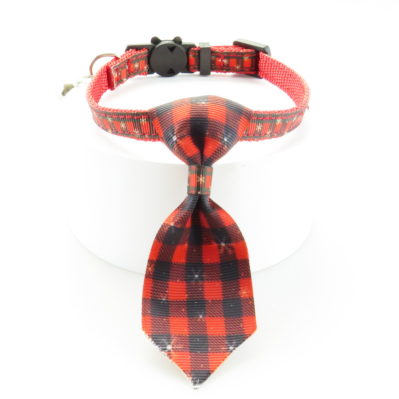 cat collar