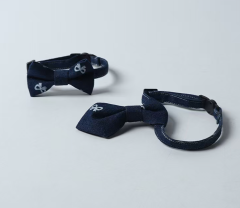cat collar