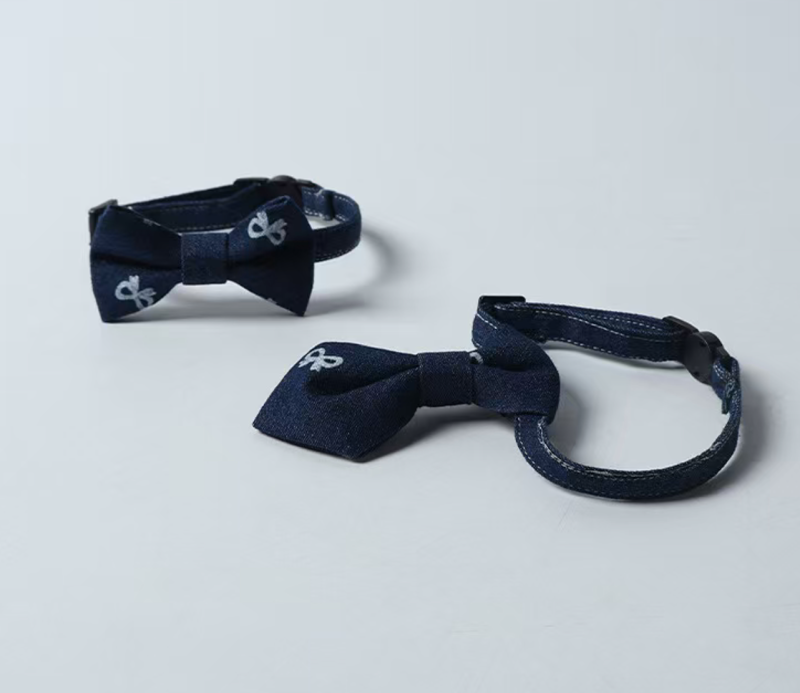 cat collar