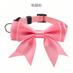 cat collar
