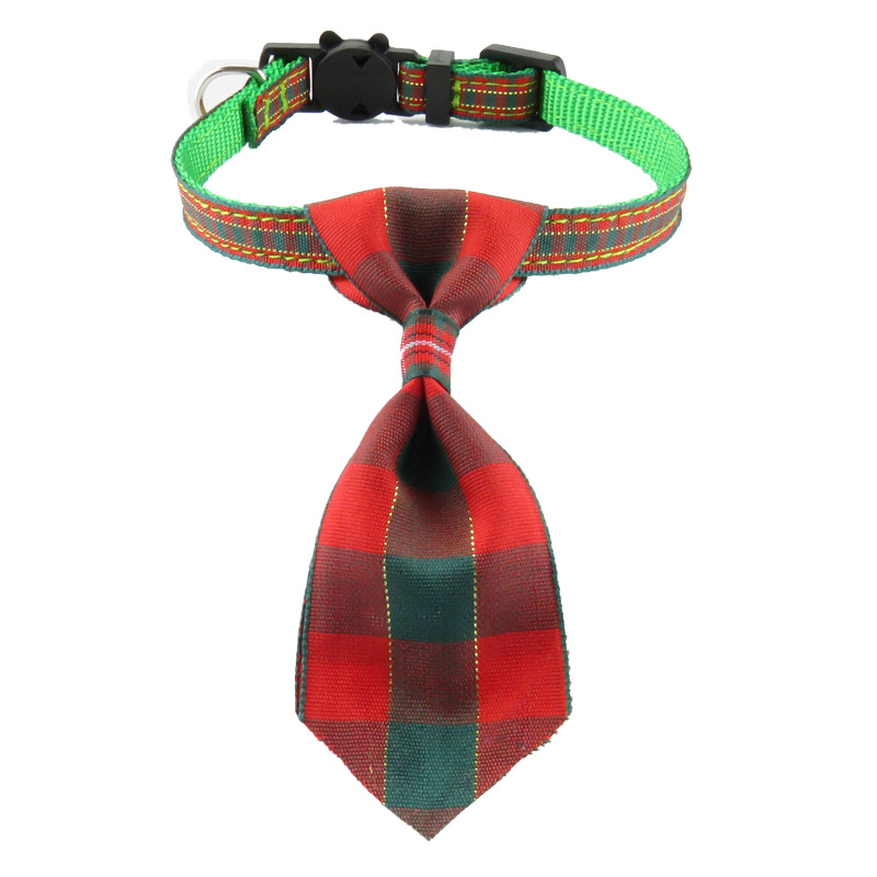 cat collar