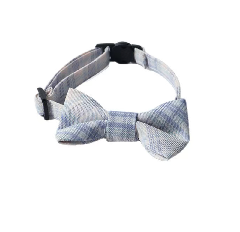 cat collar