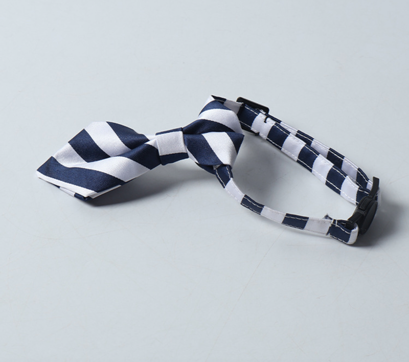 cat collar