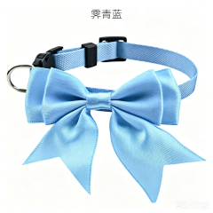 cat collar