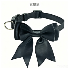cat collar