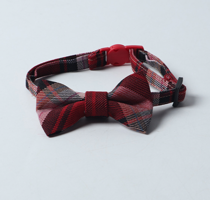 cat collar
