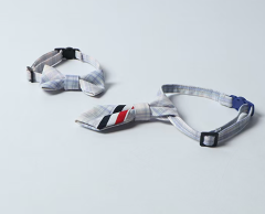 cat collar