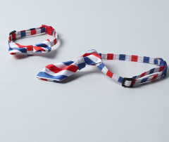 cat collar