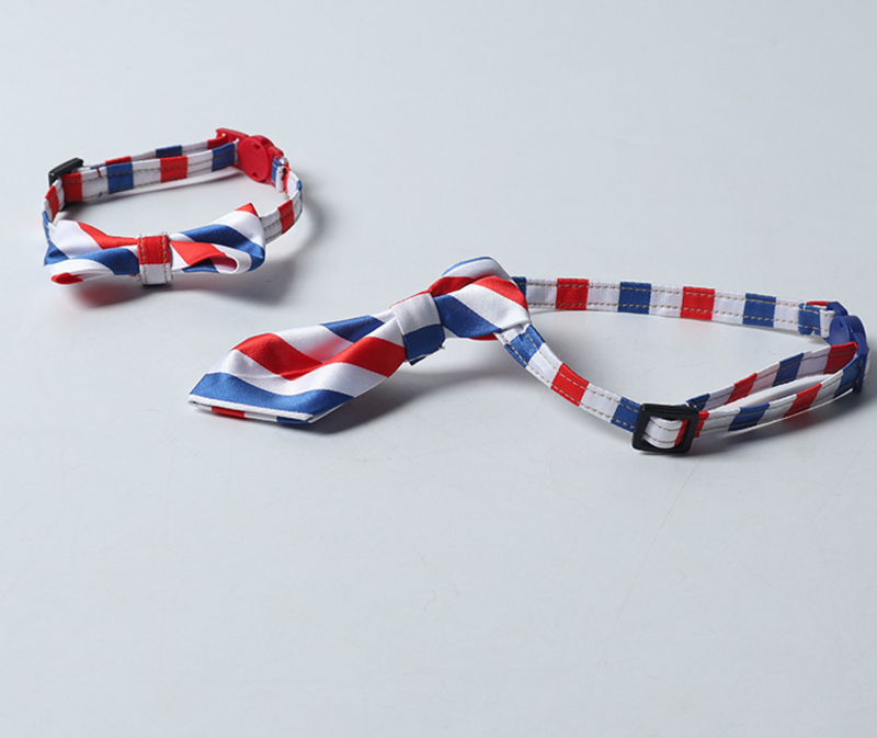 cat collar