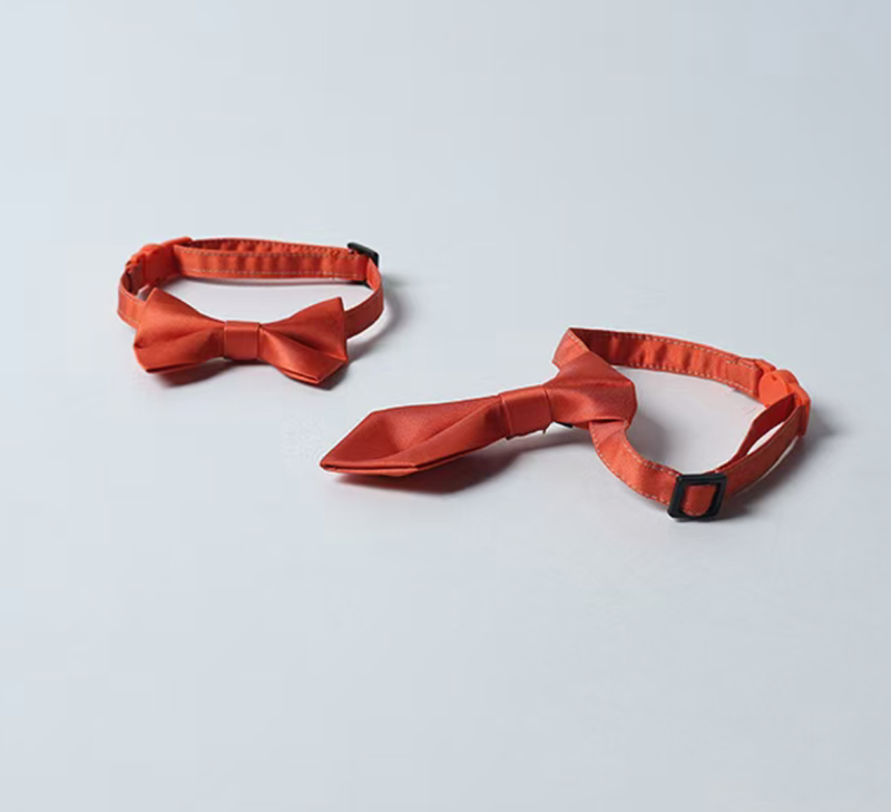 cat collar