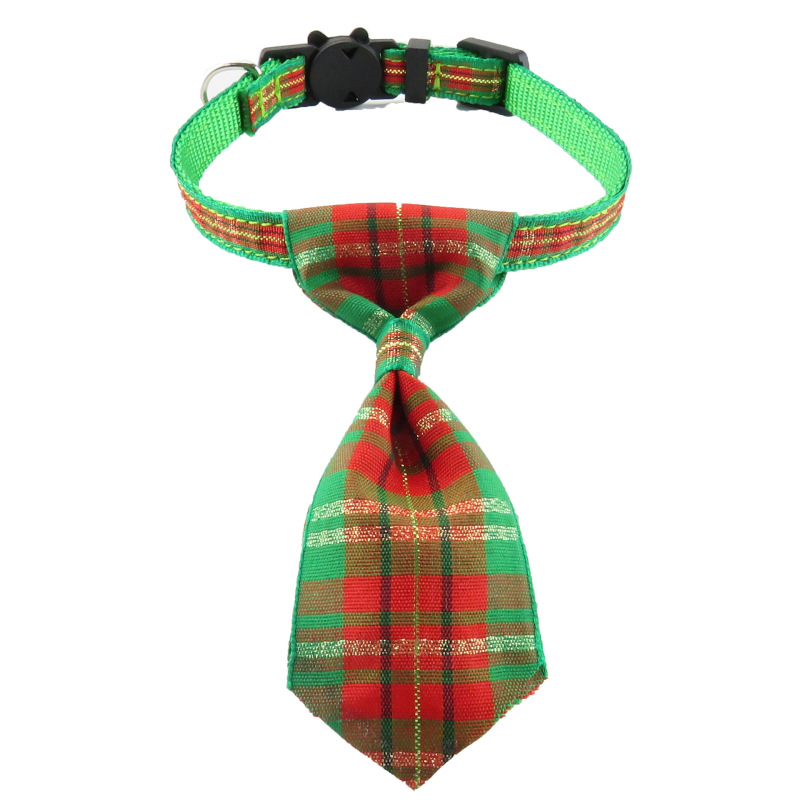 cat collar