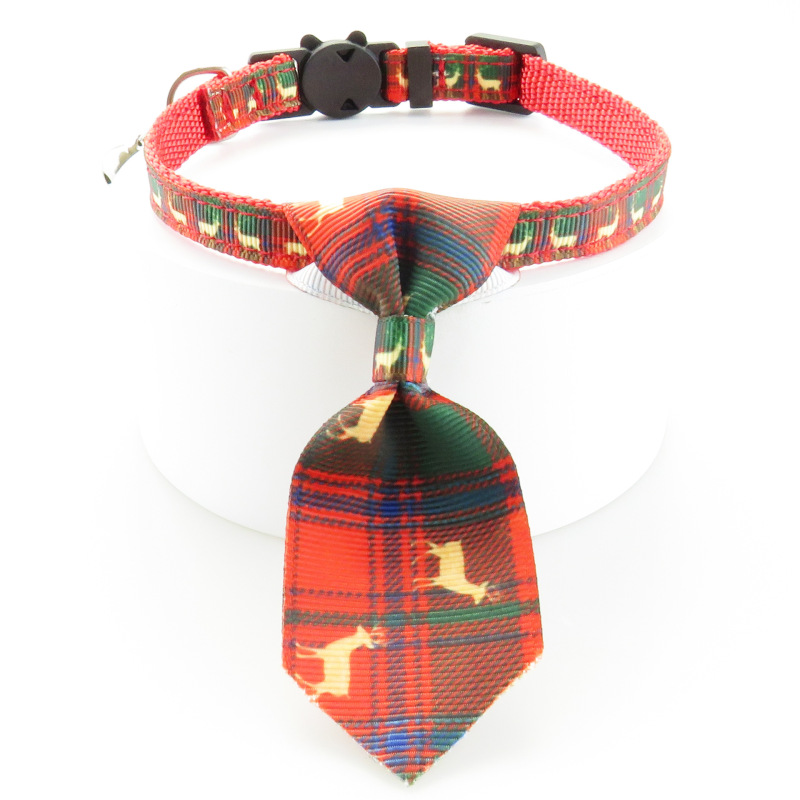 cat collar