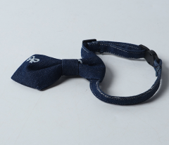 cat collar