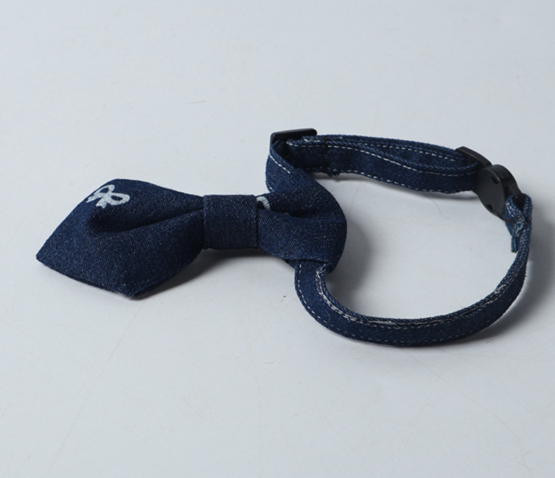 cat collar