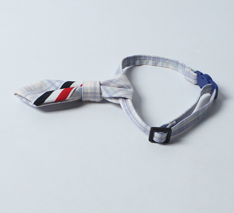 cat collar