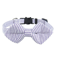 cat collar