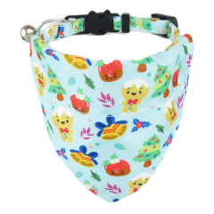 cat collar