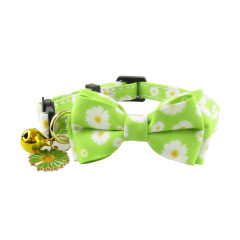cat collar