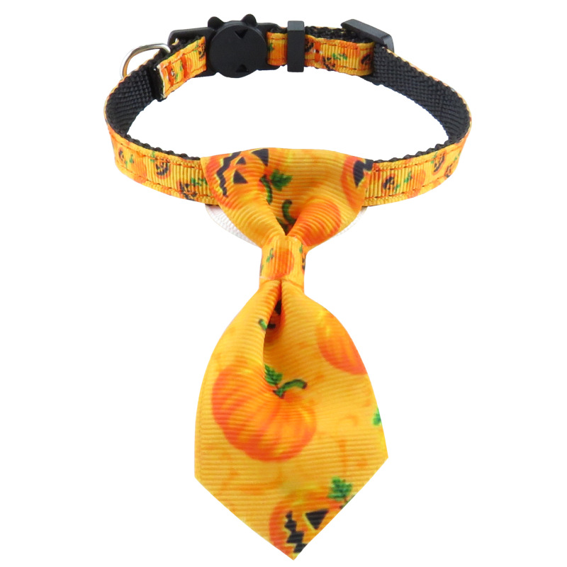 cat collar