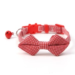 cat collar
