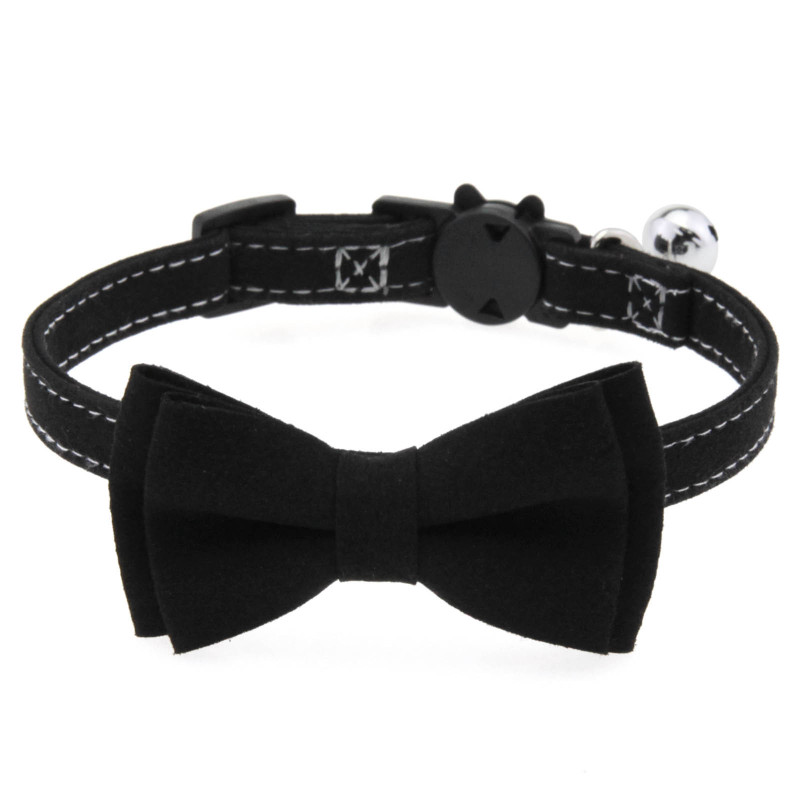 cat collar
