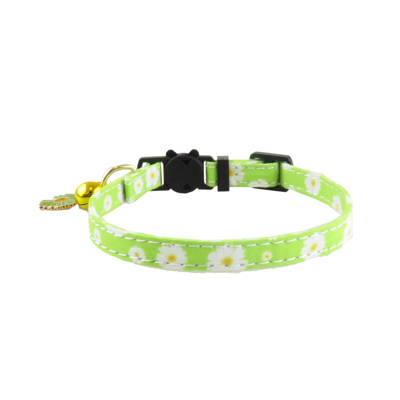 cat collar