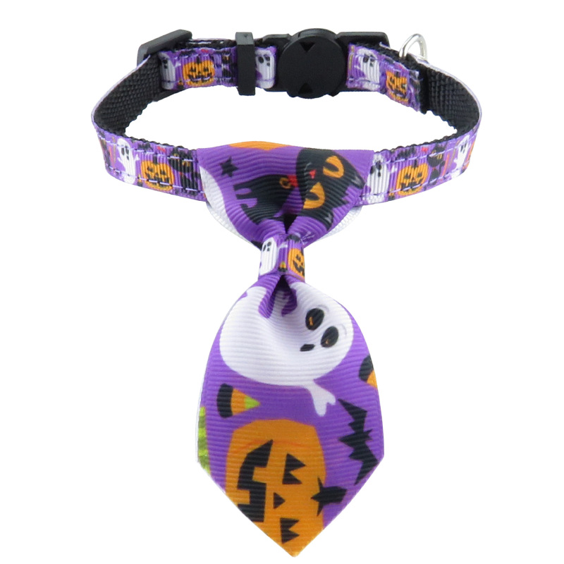 cat collar