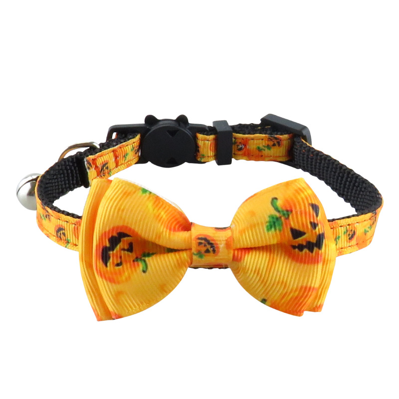 cat collar