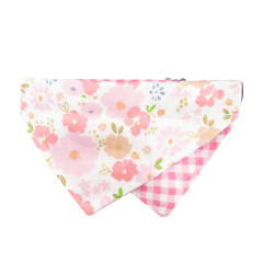 cat collar