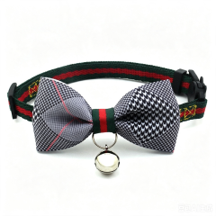 cat collar