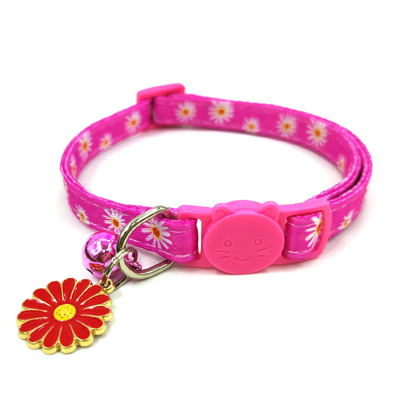 cat collar