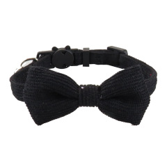 cat collar