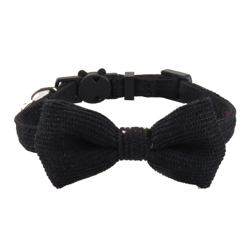 cat collar