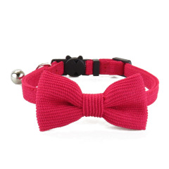 cat collar
