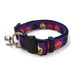 cat collar