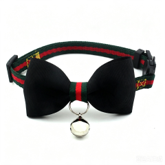 cat collar