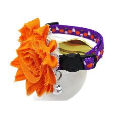 cat collar