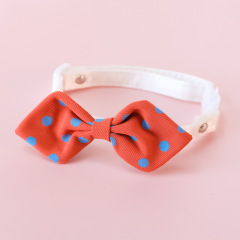 cat collar