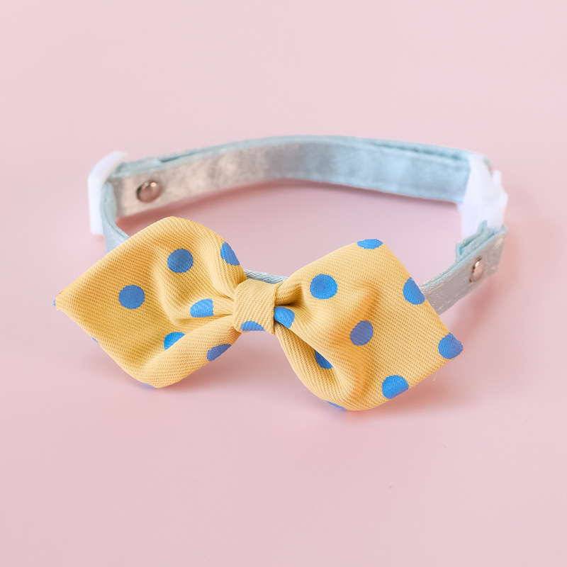 cat collar