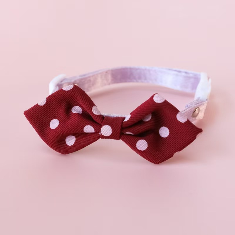 cat collar