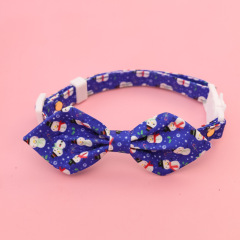 cat collar