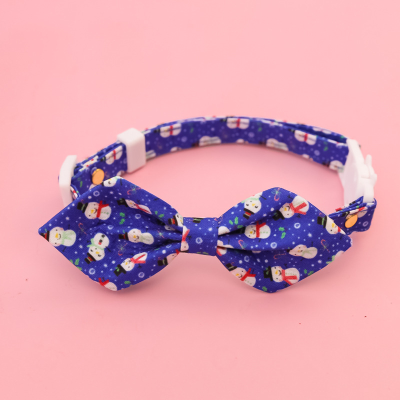 cat collar