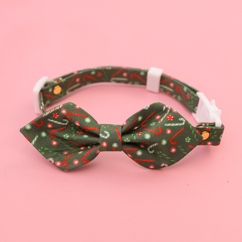 cat collar