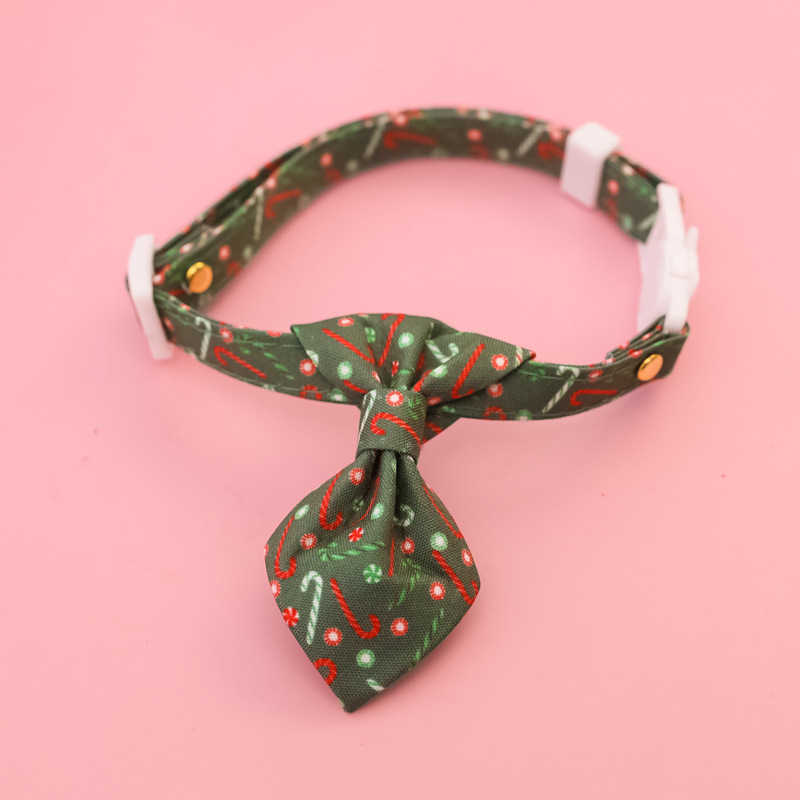 cat collar
