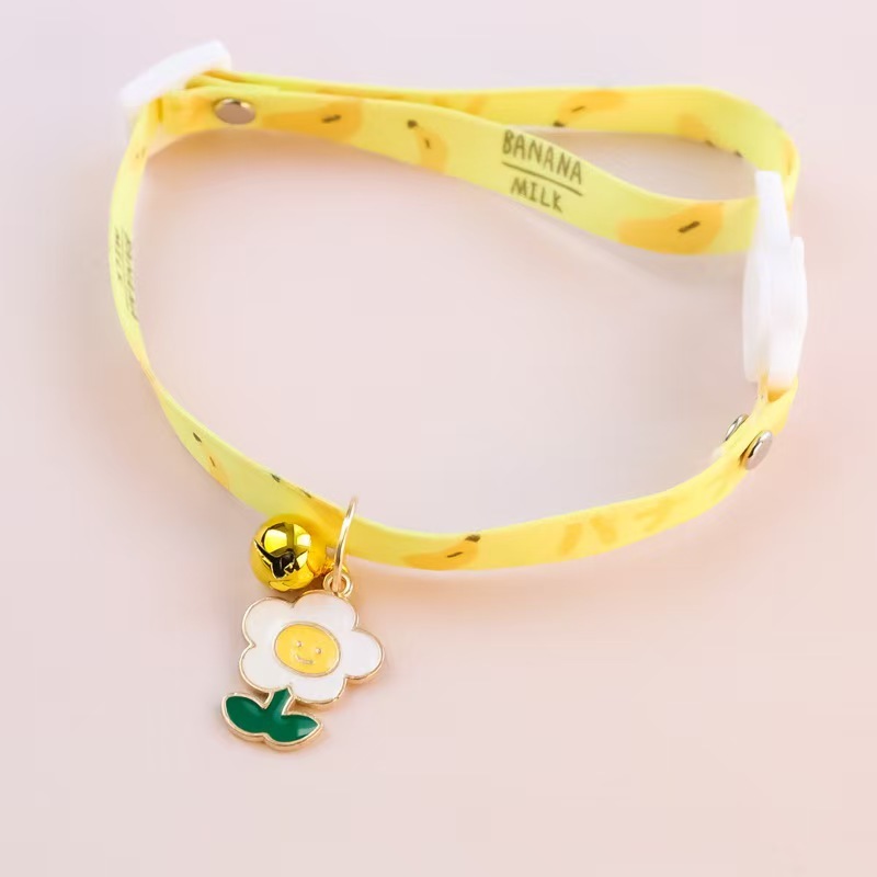 cat collar
