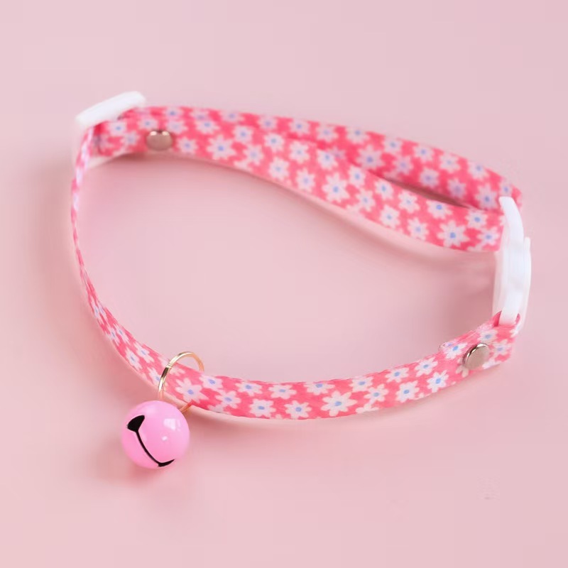 cat collar