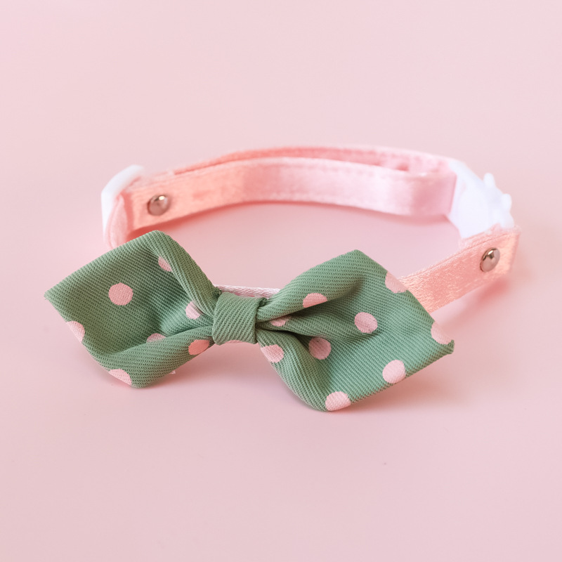 cat collar
