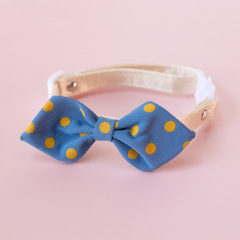 cat collar