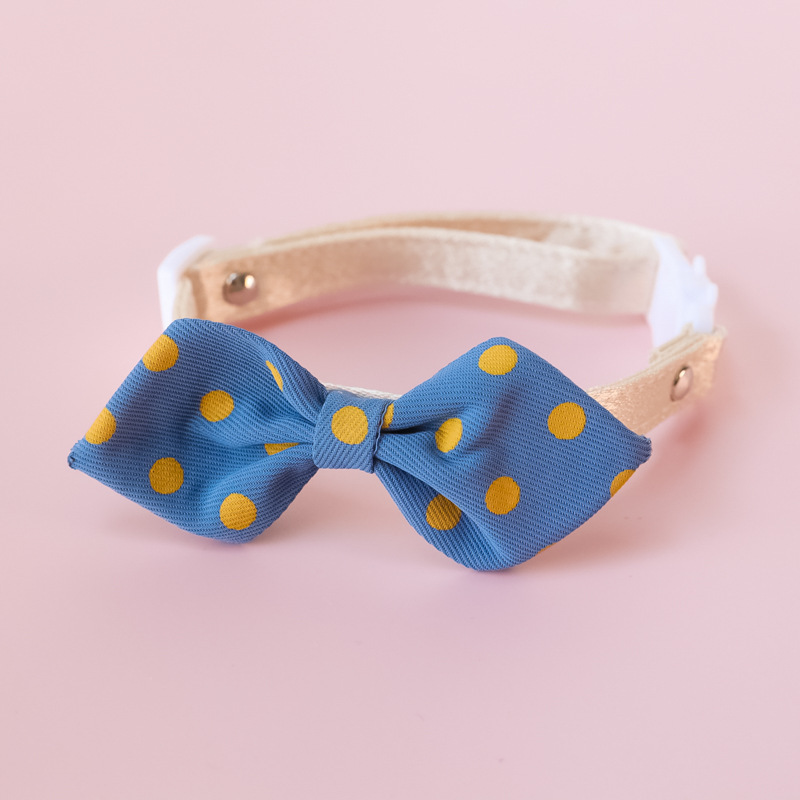 cat collar
