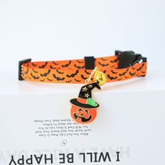cat collar